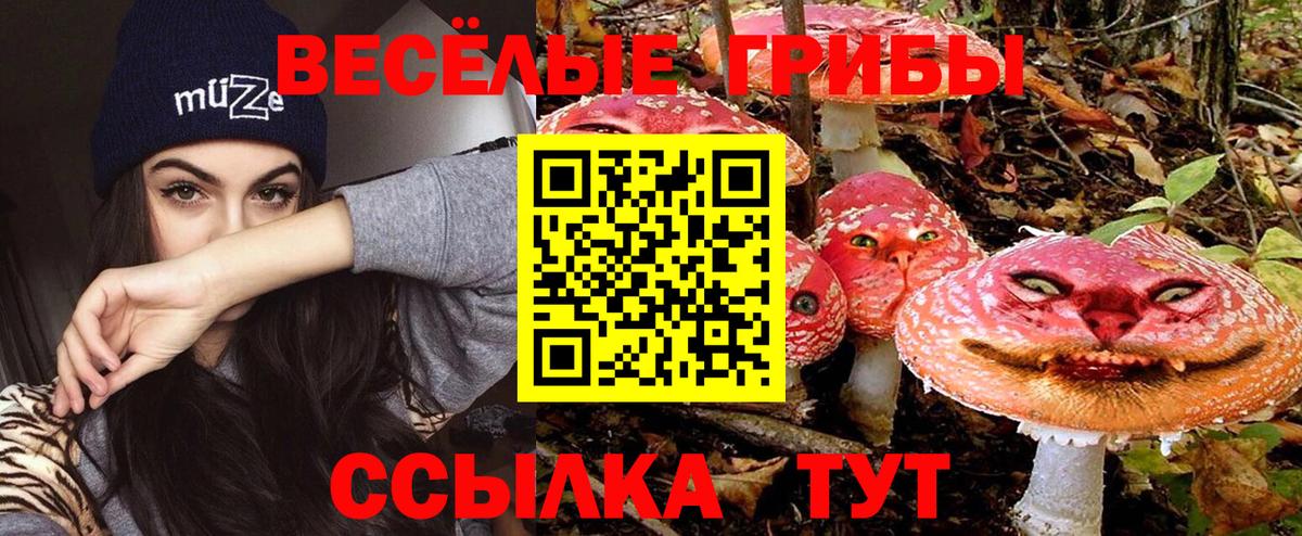 Псилоцибиновые грибы мухоморы Лениногорск