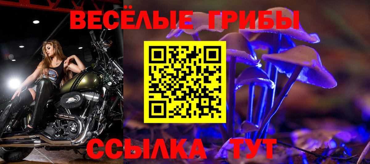 Псилоцибиновые грибы MAGIC MUSHROOMS  сколько стоит  Лениногорск  Вход с VPN 
