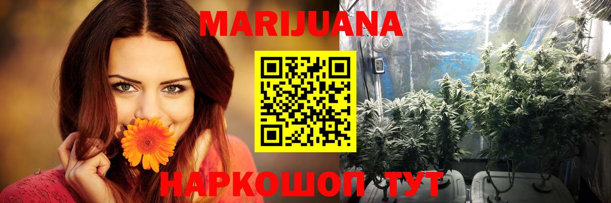 Канабис ГИДРОПОН Лениногорск